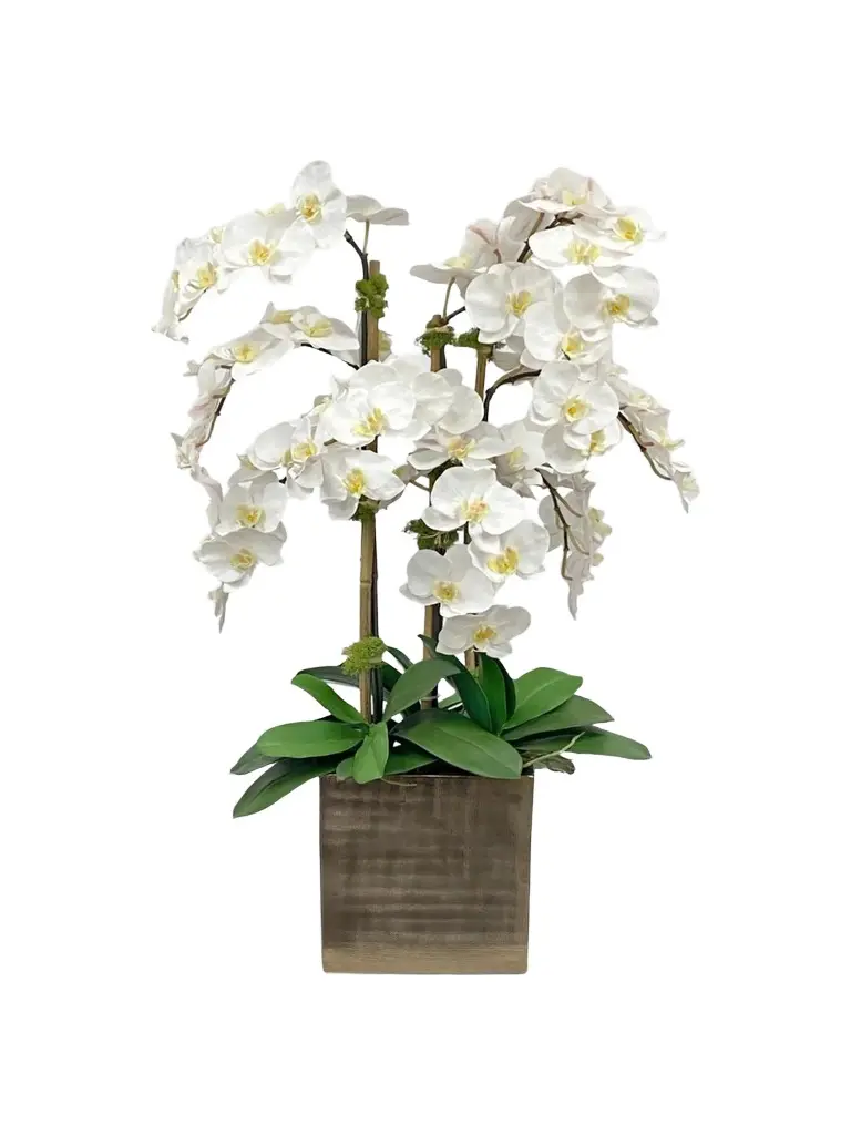 Winward Home Newness Artificial Orchid Floral Arrangement