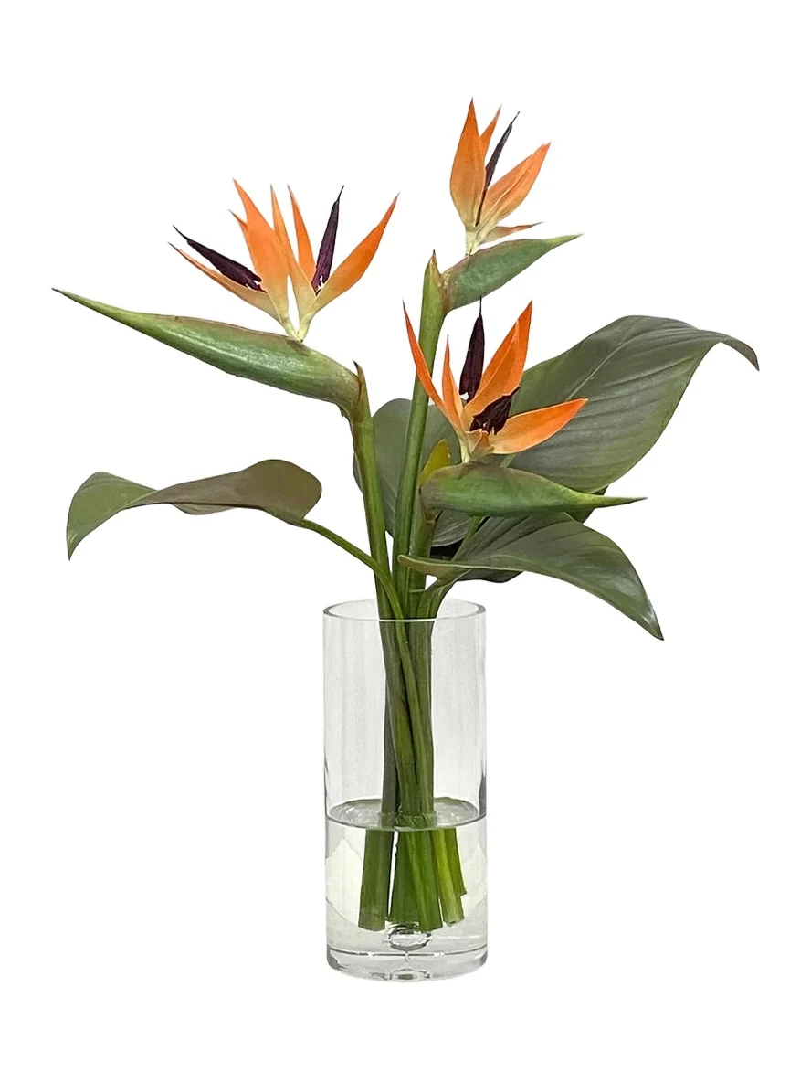 Winward Home Newness Artificial Birds Of Paradise Floral Arrangement