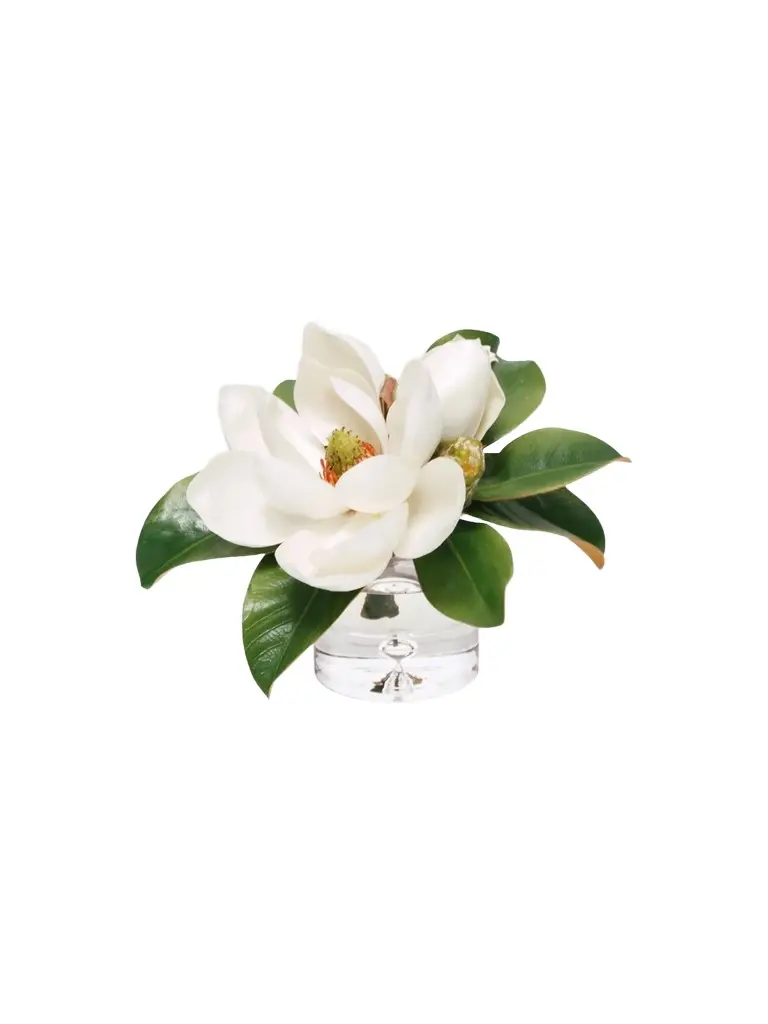 Winward Home Newness Artificial Magnolia Floral Arrangement