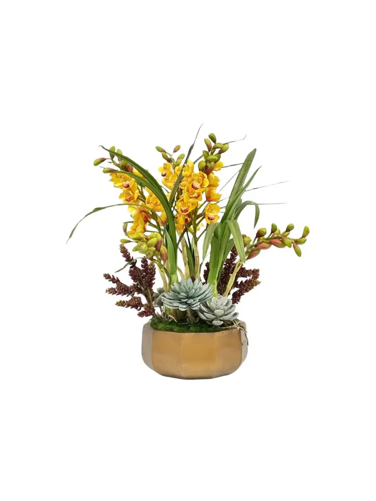 Winward Home Newness Artificial Orchid Succulent Floral Arrangement