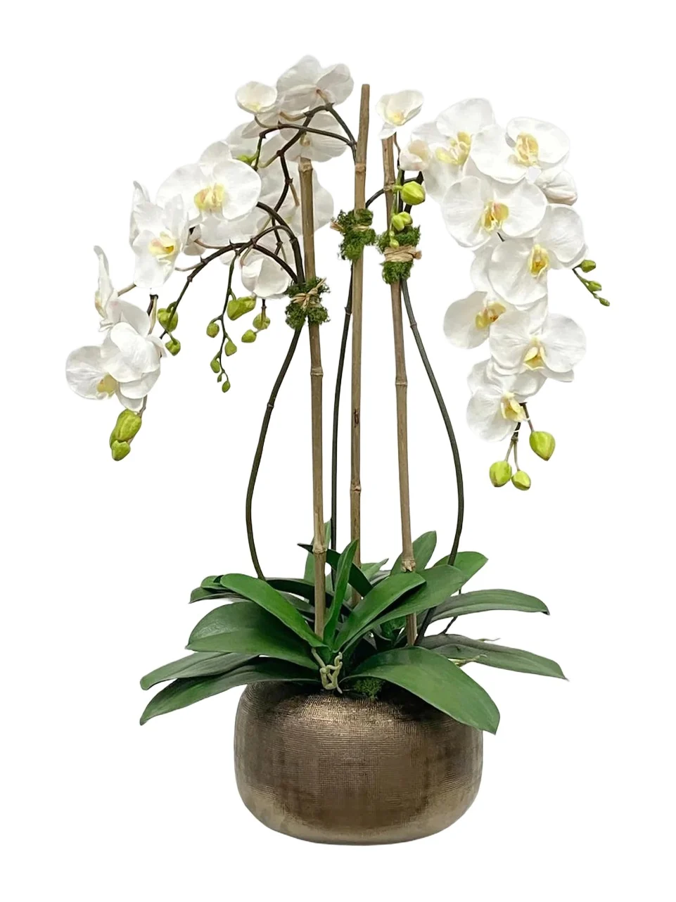 Winward Home Newness Artificial Orchid Floral Arrangement