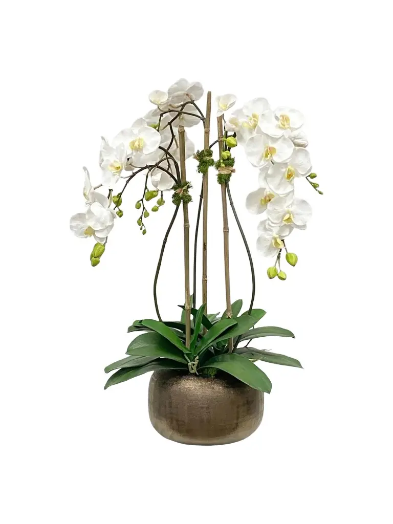 Winward Home Newness Artificial Orchid Floral Arrangement