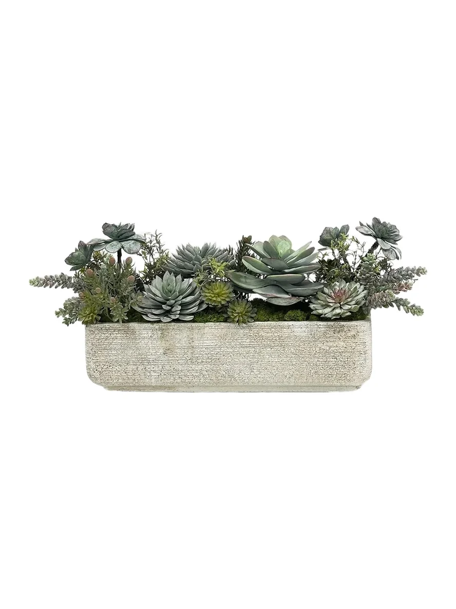 Winward Home Newness Faux Mixed Succulent Tray