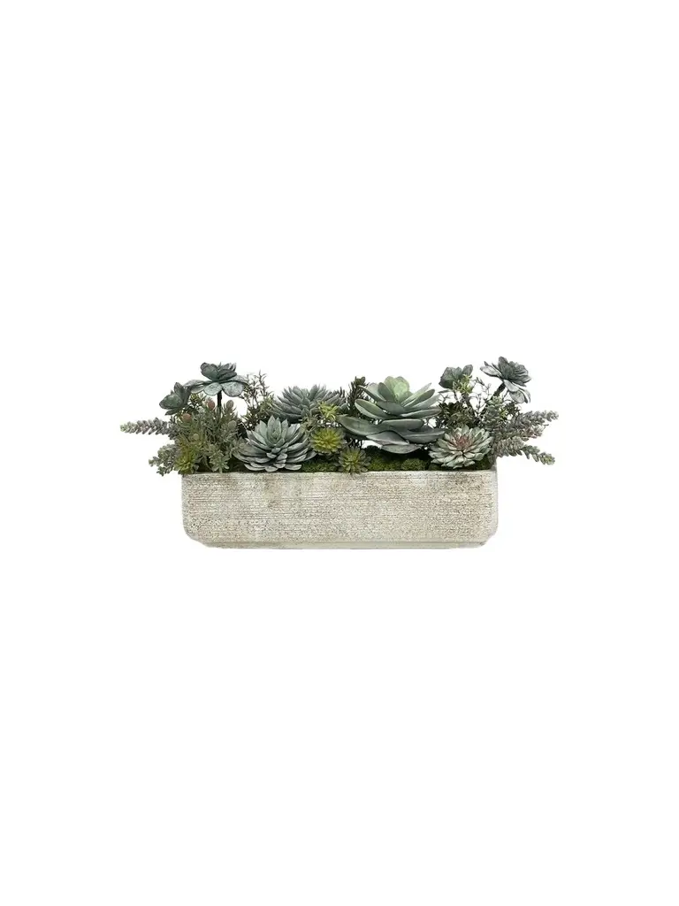 Winward Home Newness Faux Mixed Succulent Tray