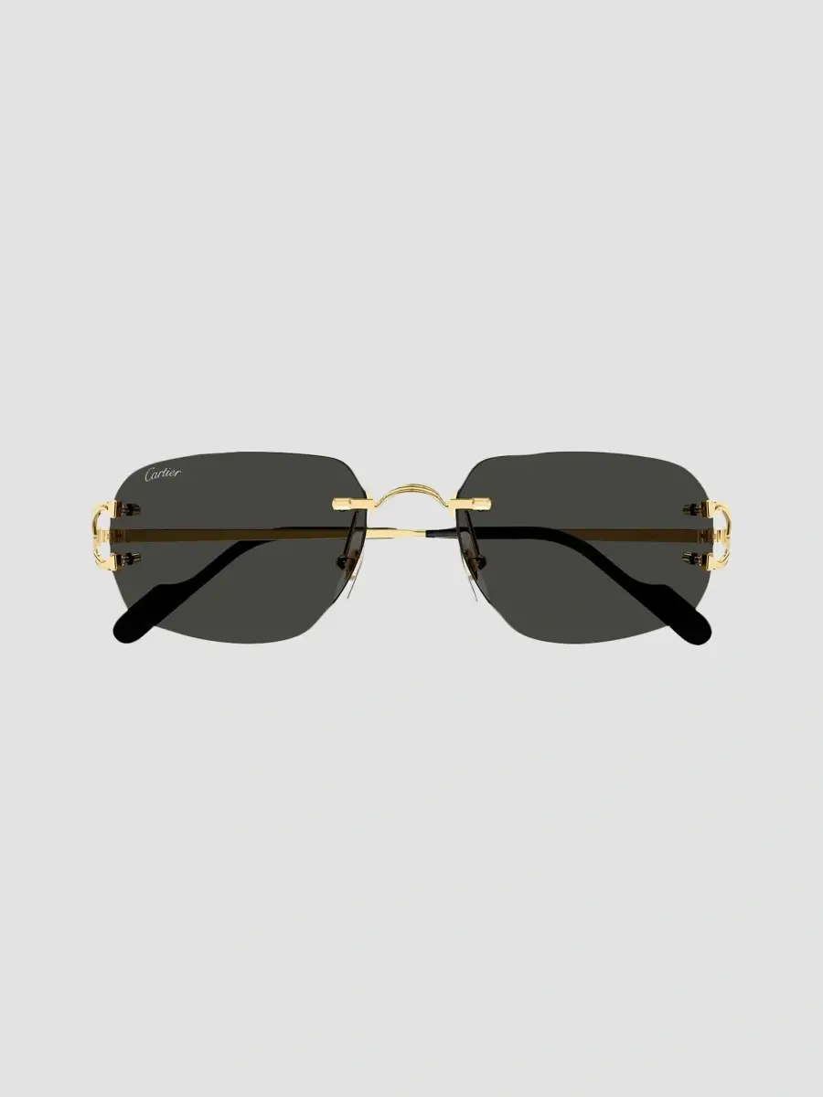 Cartier Men's Motifs De Ct0663S Metal Rimless Rectangular Sunglasses | Thumbnail 2