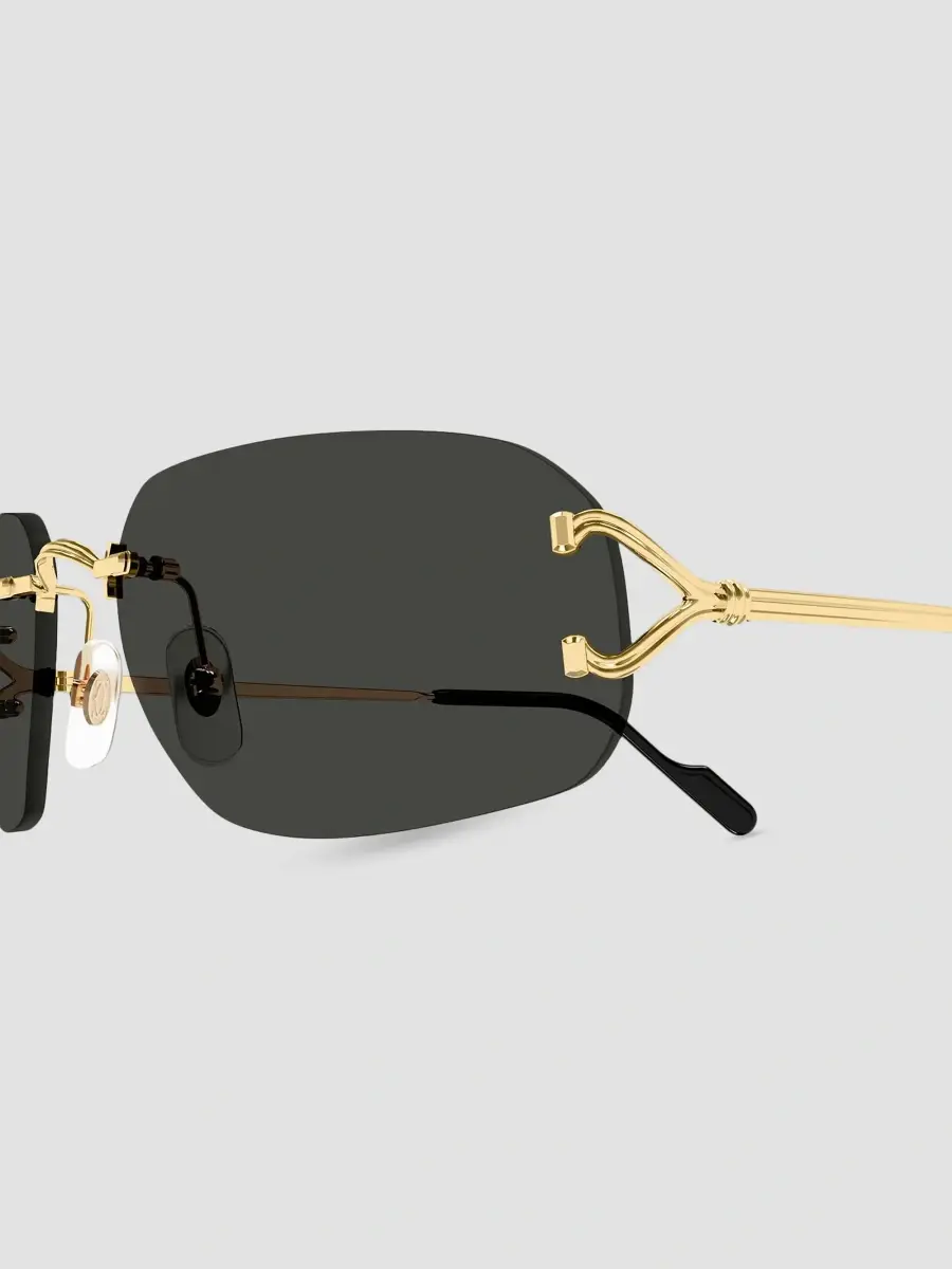 Cartier Men's Motifs De Ct0663S Metal Rimless Rectangular Sunglasses | Thumbnail 3