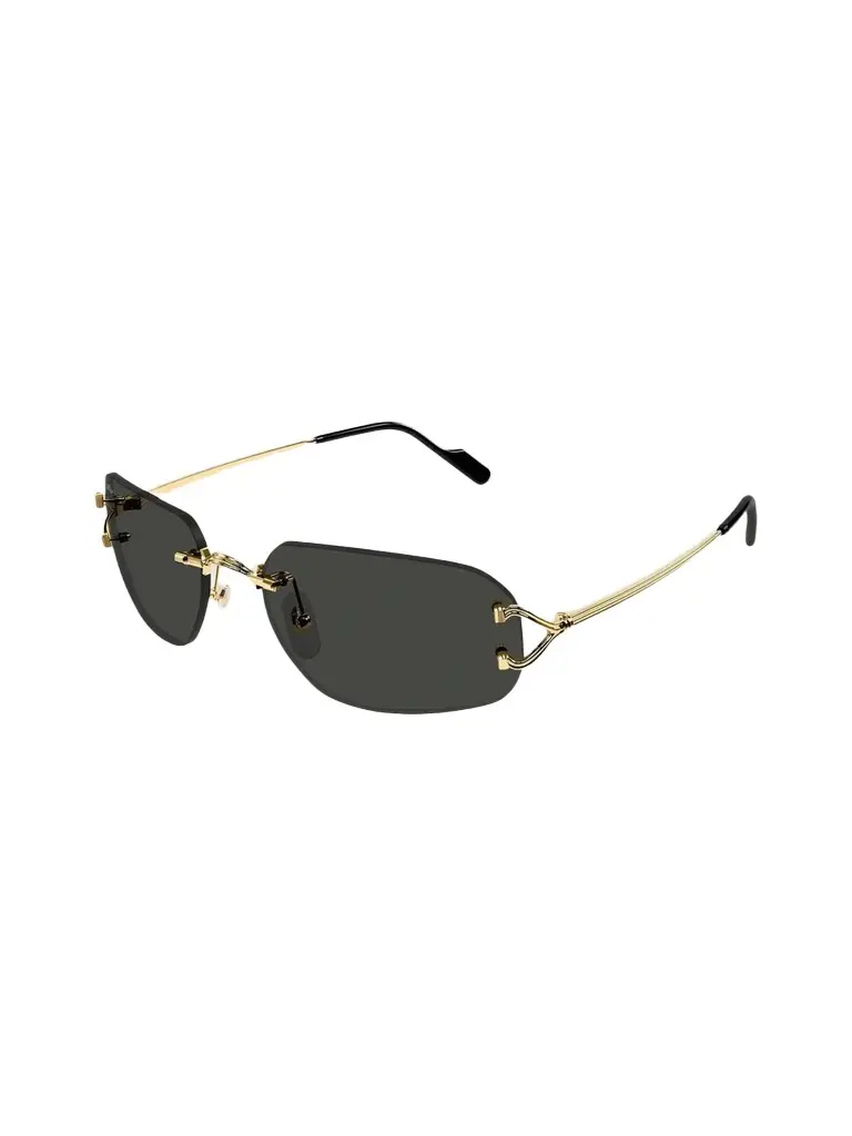 Cartier Men's Motifs De Ct0663S Metal Rimless Rectangular Sunglasses