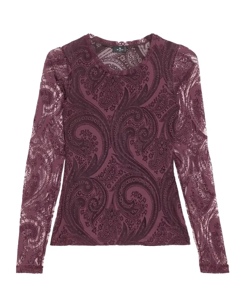 Etro Paisley Mesh Long-Sleeve Top