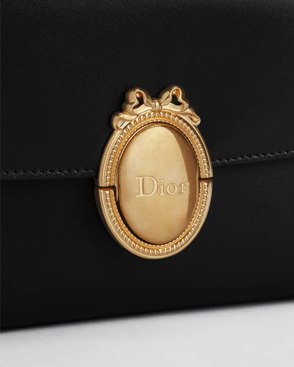 Dior Dior Médaillon Pouch | Thumbnail 7 Dior Dior Médaillon Pouch | Thumbnail 7