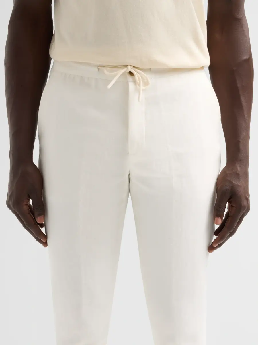 Saks Fifth Avenue Men's COLLECTION Drawstring Linen-Blend Pants | Thumbnail 5