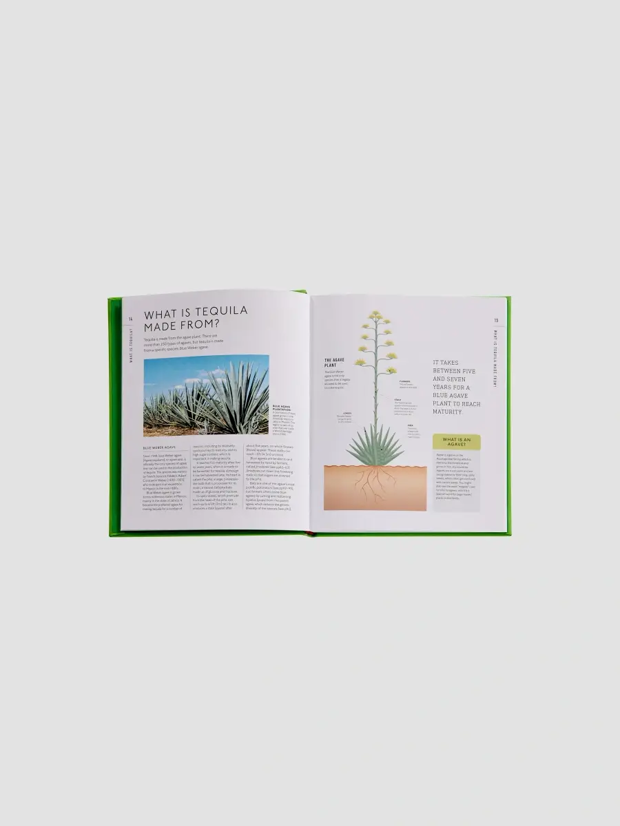 Graphic Image "Tequila: A Tasting Course" Leather-Bound Hardcover Book | Thumbnail 10 Graphic Image "Tequila: A Tasting Course" Leather-Bound Hardcover Book | Thumbnail 10