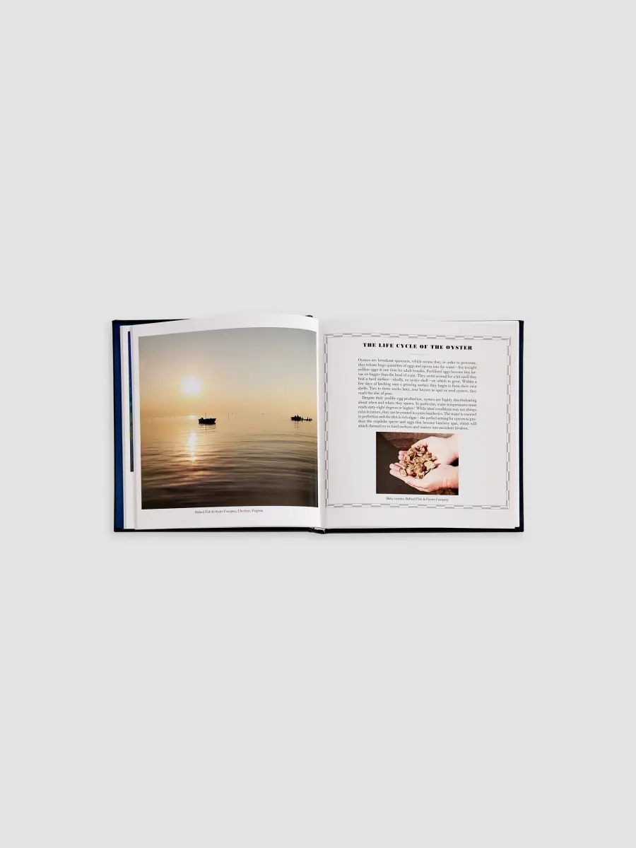 Graphic Image "Oysters: A Celebration In The Raw" Leather-Bound Hardcover Book | Thumbnail 4 Graphic Image "Oysters: A Celebration In The Raw" Leather-Bound Hardcover Book | Thumbnail 4