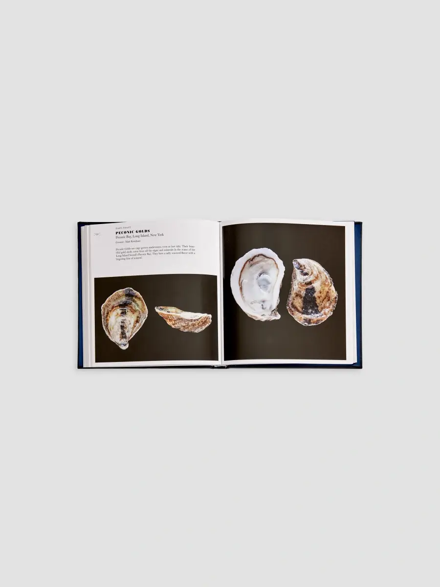 Graphic Image "Oysters: A Celebration In The Raw" Leather-Bound Hardcover Book | Thumbnail 6 Graphic Image "Oysters: A Celebration In The Raw" Leather-Bound Hardcover Book | Thumbnail 6
