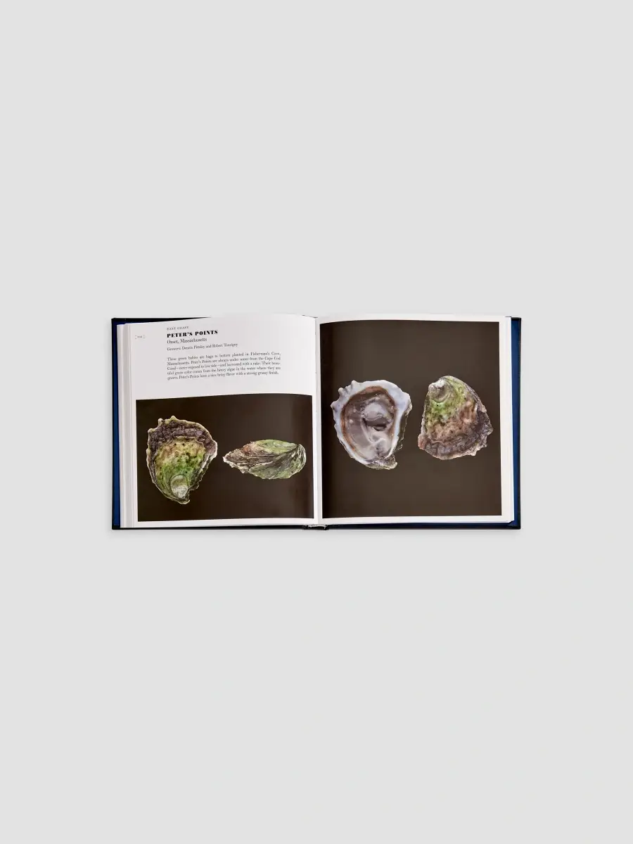 Graphic Image "Oysters: A Celebration In The Raw" Leather-Bound Hardcover Book | Thumbnail 7 Graphic Image "Oysters: A Celebration In The Raw" Leather-Bound Hardcover Book | Thumbnail 7