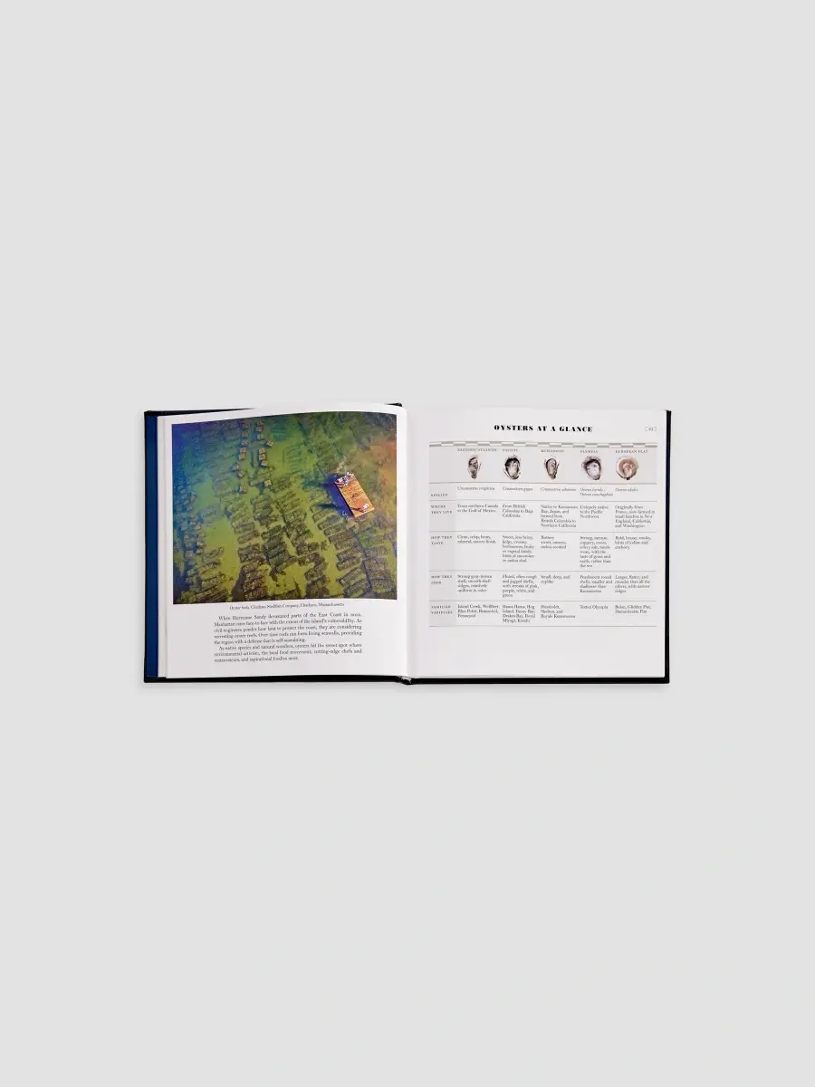 Graphic Image "Oysters: A Celebration In The Raw" Leather-Bound Hardcover Book | Thumbnail 9 Graphic Image "Oysters: A Celebration In The Raw" Leather-Bound Hardcover Book | Thumbnail 9