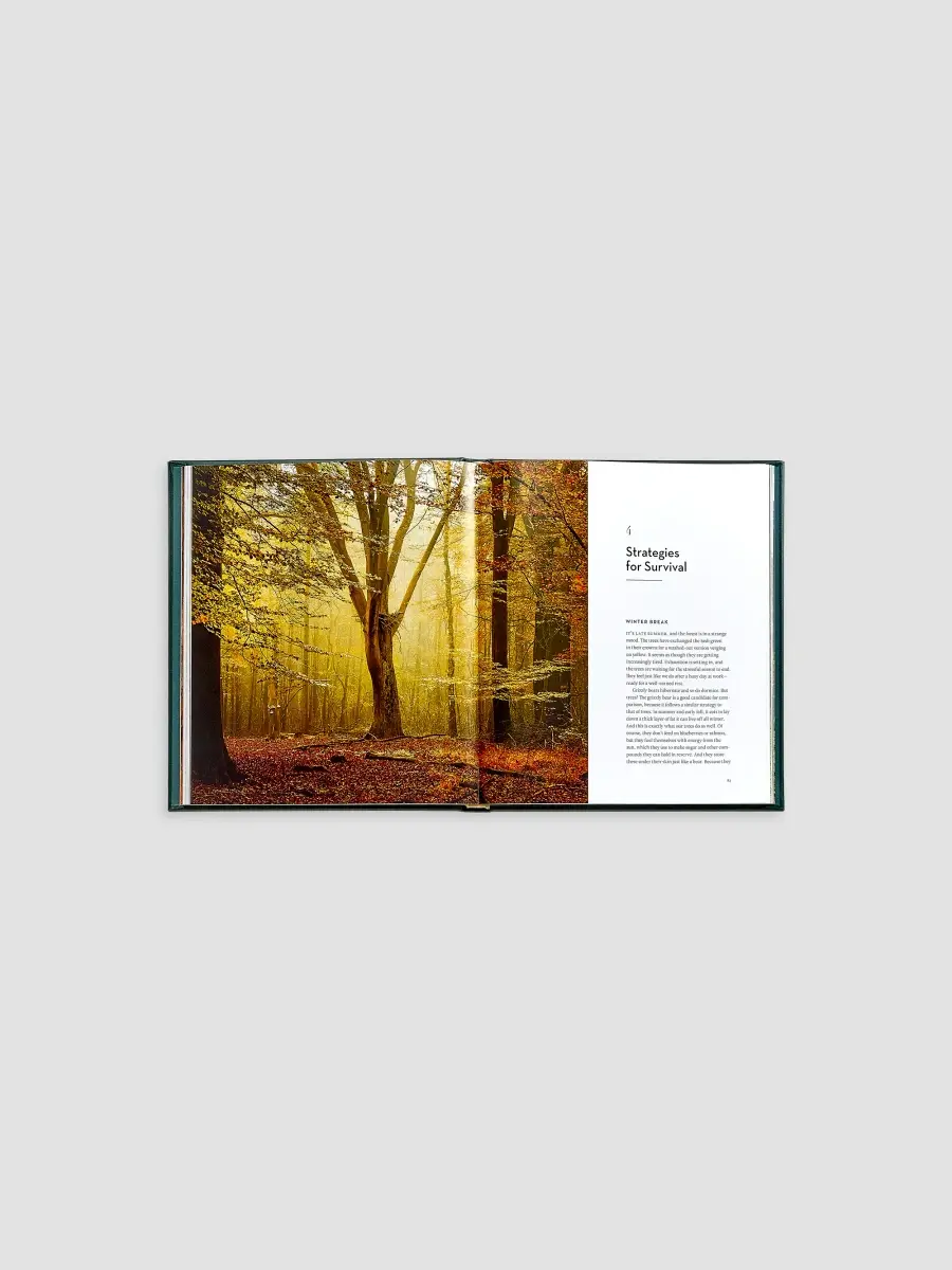 Graphic Image "The Hidden Life Of Trees" Leather-Bound Hardcover Book | Thumbnail 3