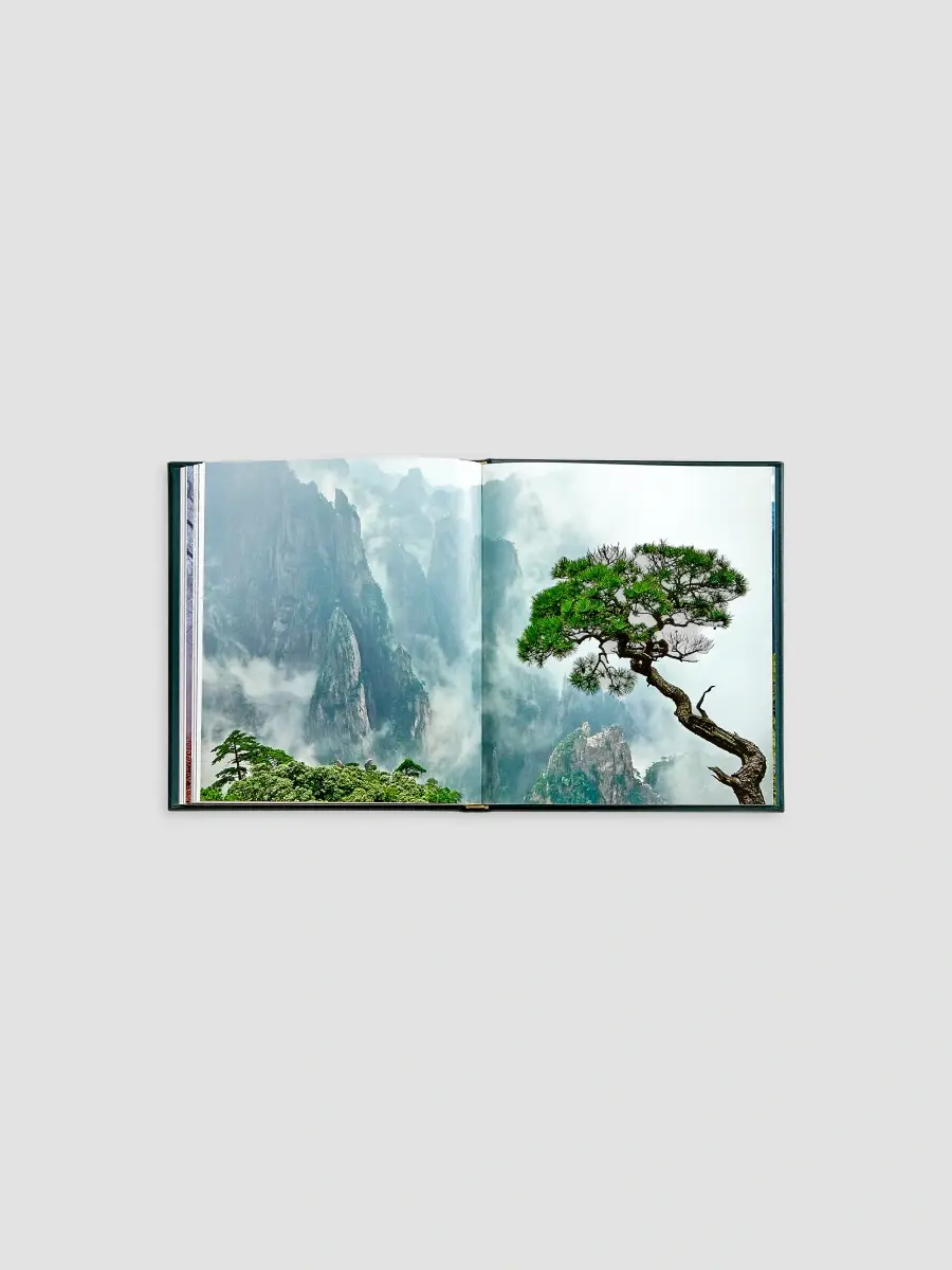 Graphic Image "The Hidden Life Of Trees" Leather-Bound Hardcover Book | Thumbnail 4