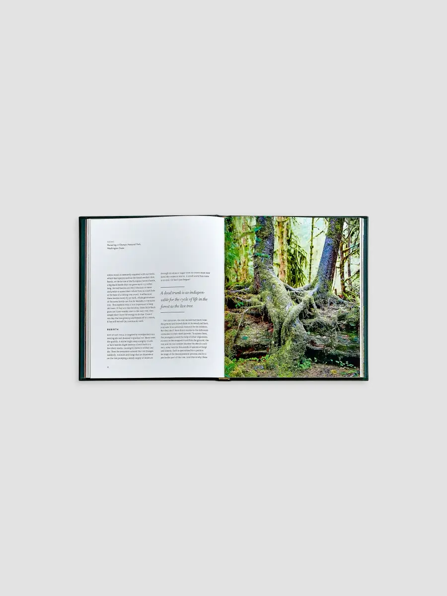 Graphic Image "The Hidden Life Of Trees" Leather-Bound Hardcover Book | Thumbnail 5