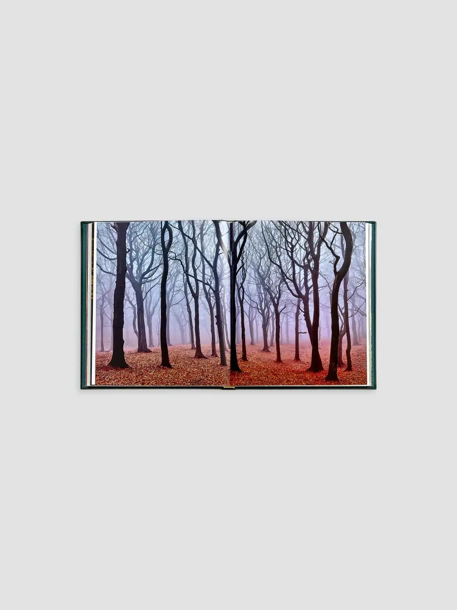 Graphic Image "The Hidden Life Of Trees" Leather-Bound Hardcover Book | Thumbnail 6