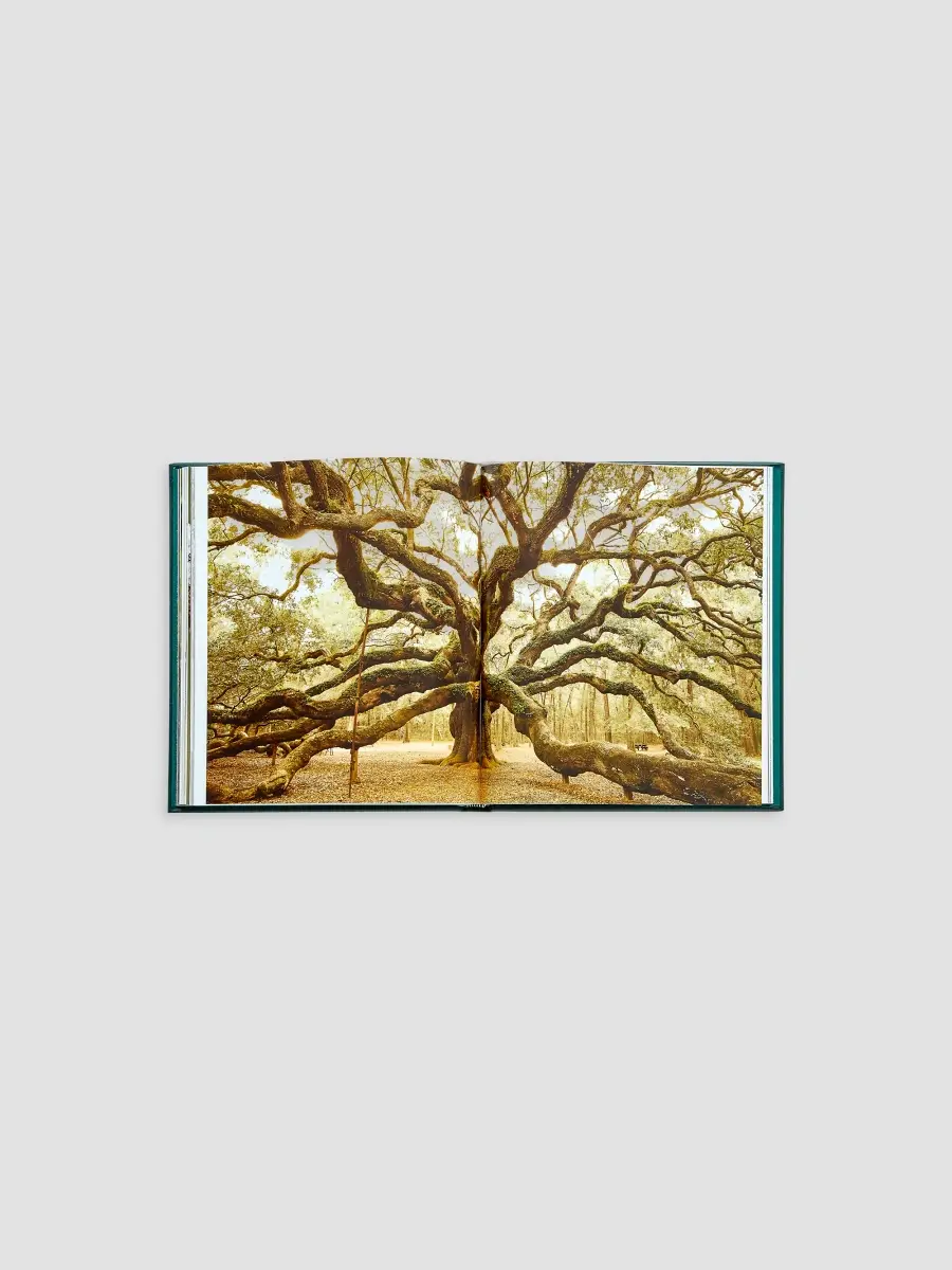 Graphic Image "The Hidden Life Of Trees" Leather-Bound Hardcover Book | Thumbnail 7