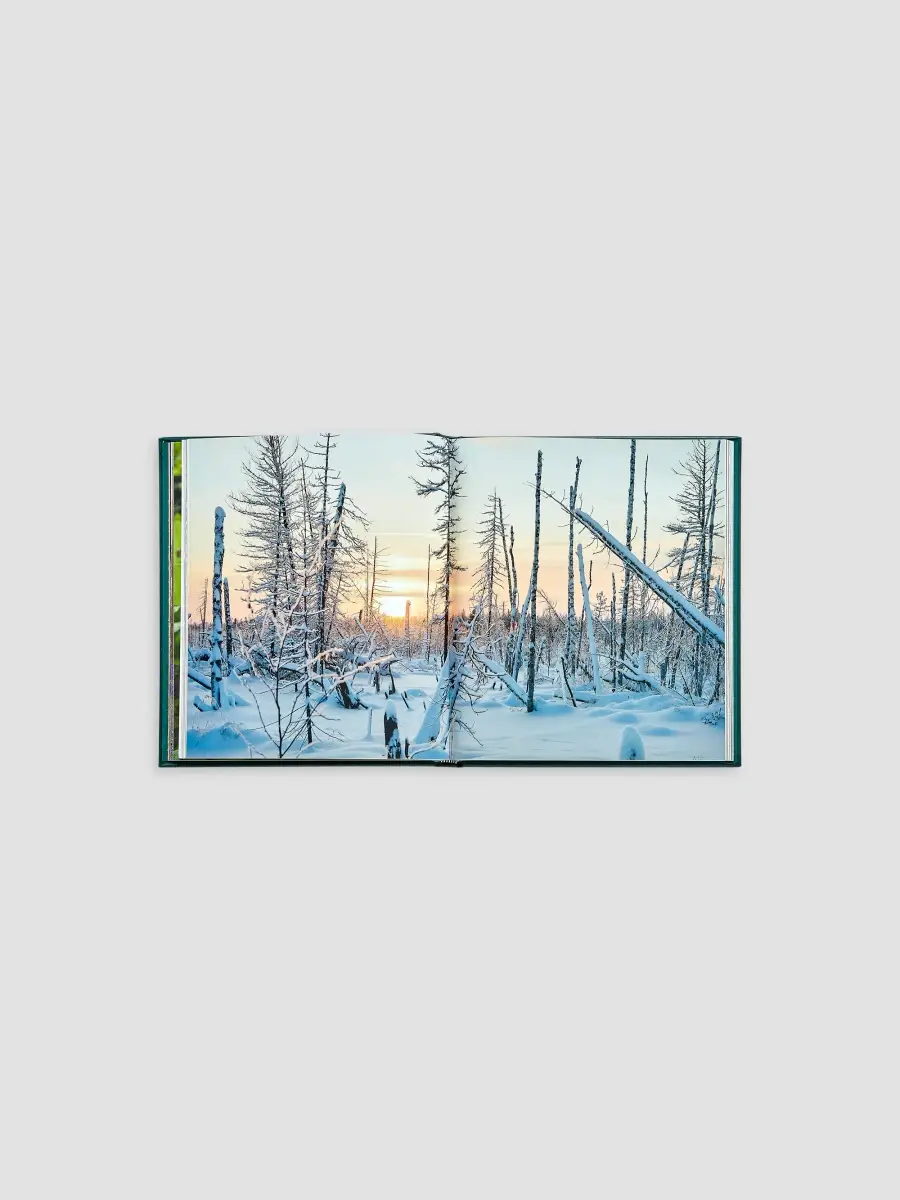 Graphic Image "The Hidden Life Of Trees" Leather-Bound Hardcover Book | Thumbnail 10