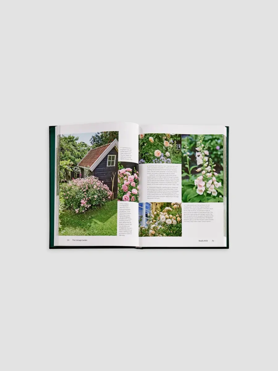 Graphic Image "The Cottage Garden" Leather-Bound Hardcover Book | Thumbnail 9 Graphic Image "The Cottage Garden" Leather-Bound Hardcover Book | Thumbnail 9