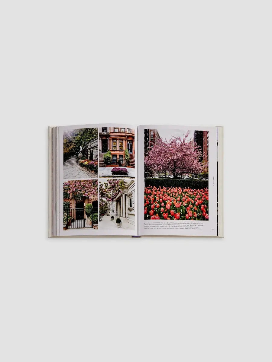 Graphic Image "Walk With Me: New York" Leather-Bound Hardcover Book | Thumbnail 4 Graphic Image "Walk With Me: New York" Leather-Bound Hardcover Book | Thumbnail 4