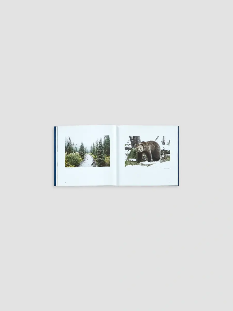 Graphic Image "Yellowstone: A Land Of Wild & Wonder" Leather-Bound Hardcover Book | Thumbnail 3