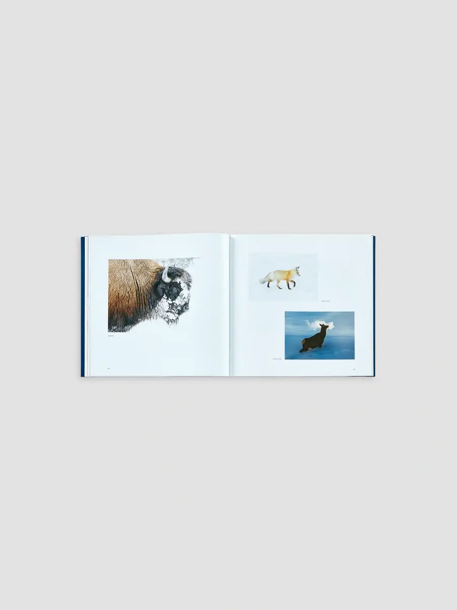 Graphic Image "Yellowstone: A Land Of Wild & Wonder" Leather-Bound Hardcover Book | Thumbnail 5