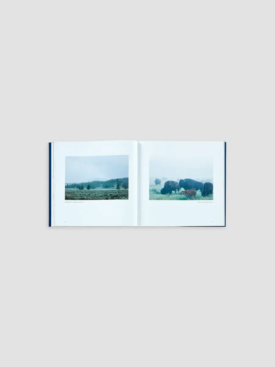 Graphic Image "Yellowstone: A Land Of Wild & Wonder" Leather-Bound Hardcover Book | Thumbnail 6