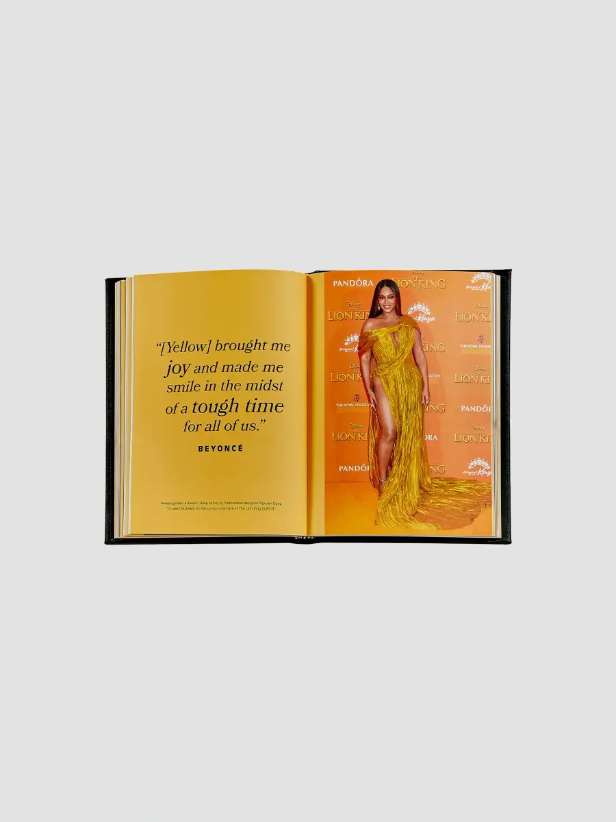 Graphic Image "Icons Of Style: Beyoncé" Leather-Bound Hardcover Book | Thumbnail 6 Graphic Image "Icons Of Style: Beyoncé" Leather-Bound Hardcover Book | Thumbnail 6