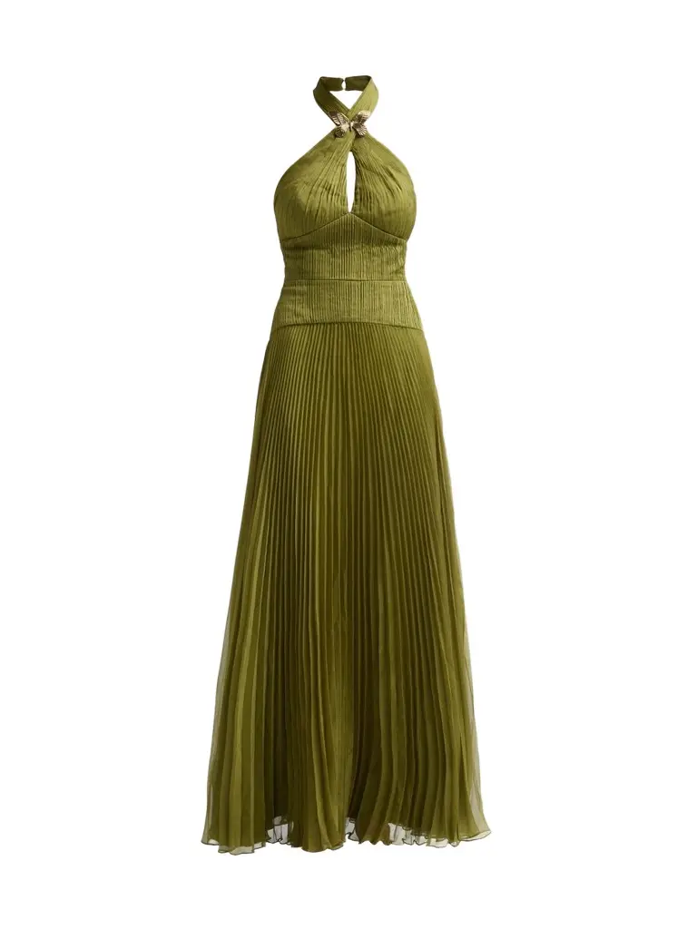 Amur Women's Alaina Pleated Halterneck Gown