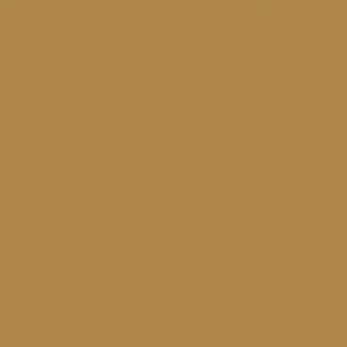 Regina Andrew Clove Single Sconce | Thumbnail 3