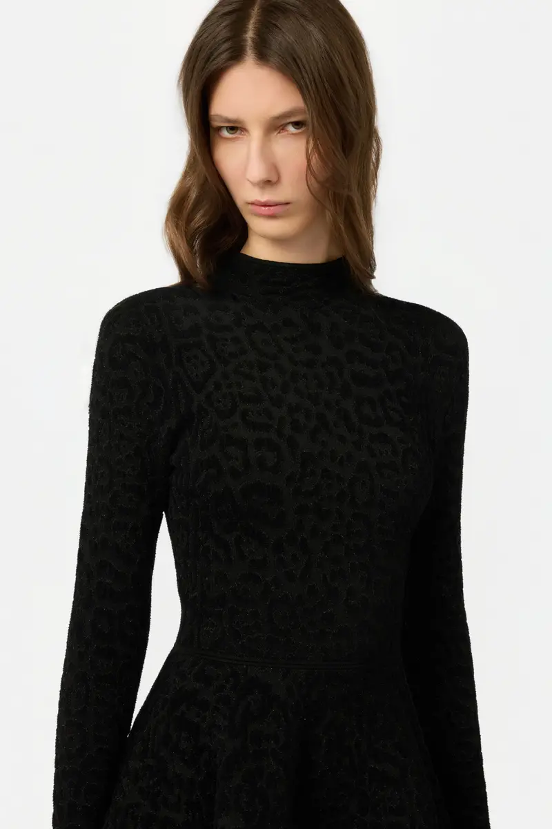 Roberto Cavalli Black Knit Mini Dress with Leopard Motif | Thumbnail 4