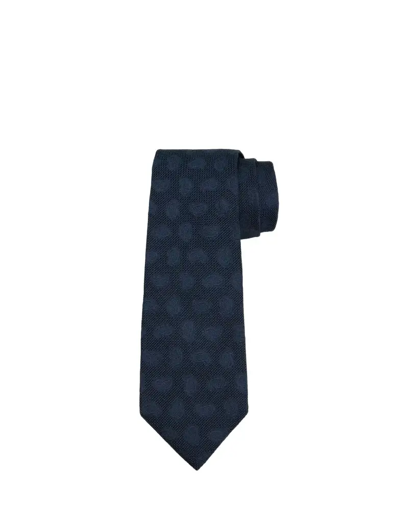 Zegna Men's Tonal Paisley Jacquard Silk Tie