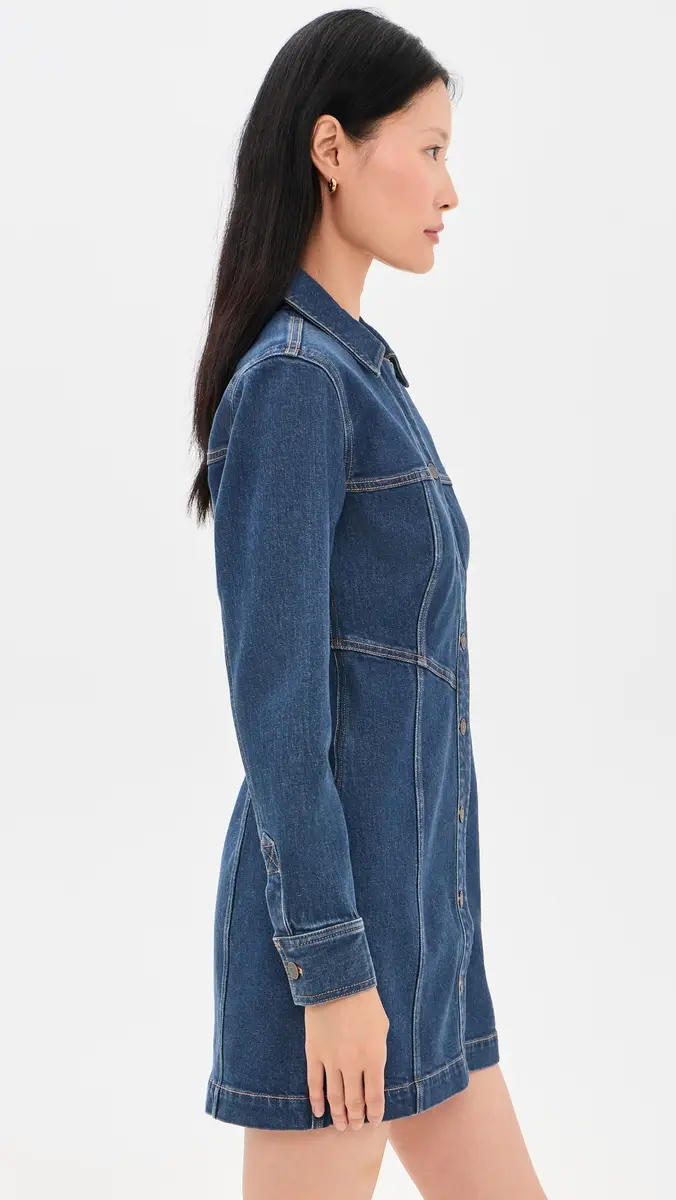Veronica Beard Jean Bandera Dress | Thumbnail 4