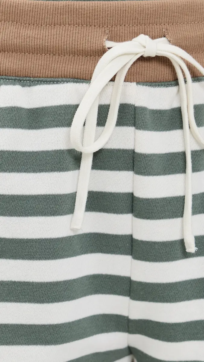 Z Supply Low Key Stripe Shorts | Thumbnail 6 Z Supply Low Key Stripe Shorts | Thumbnail 6
