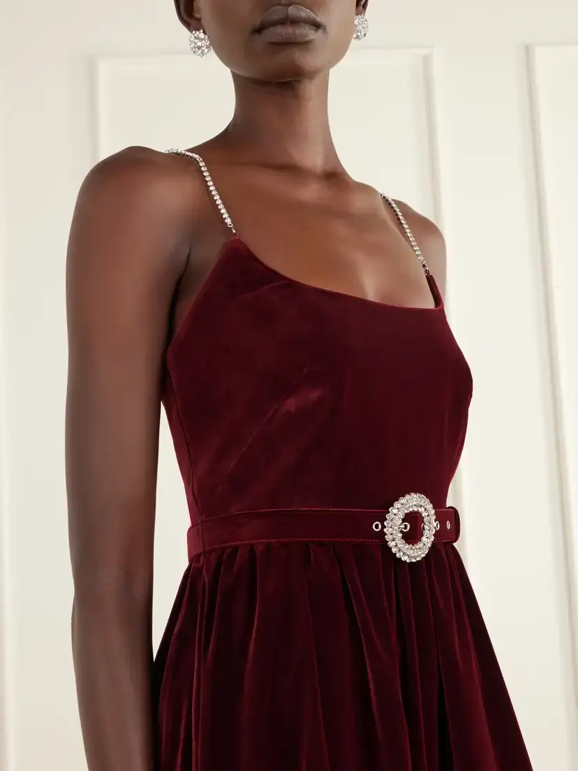 Borgo de Nor Arden Belted Pleated Crystal-embellished Velvet Midi Dress | Thumbnail 4 Borgo de Nor Arden Belted Pleated Crystal-embellished Velvet Midi Dress | Thumbnail 4