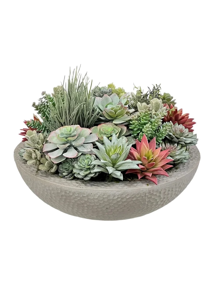 Winward Home Newness Artificial Mix Succulent Arrangement