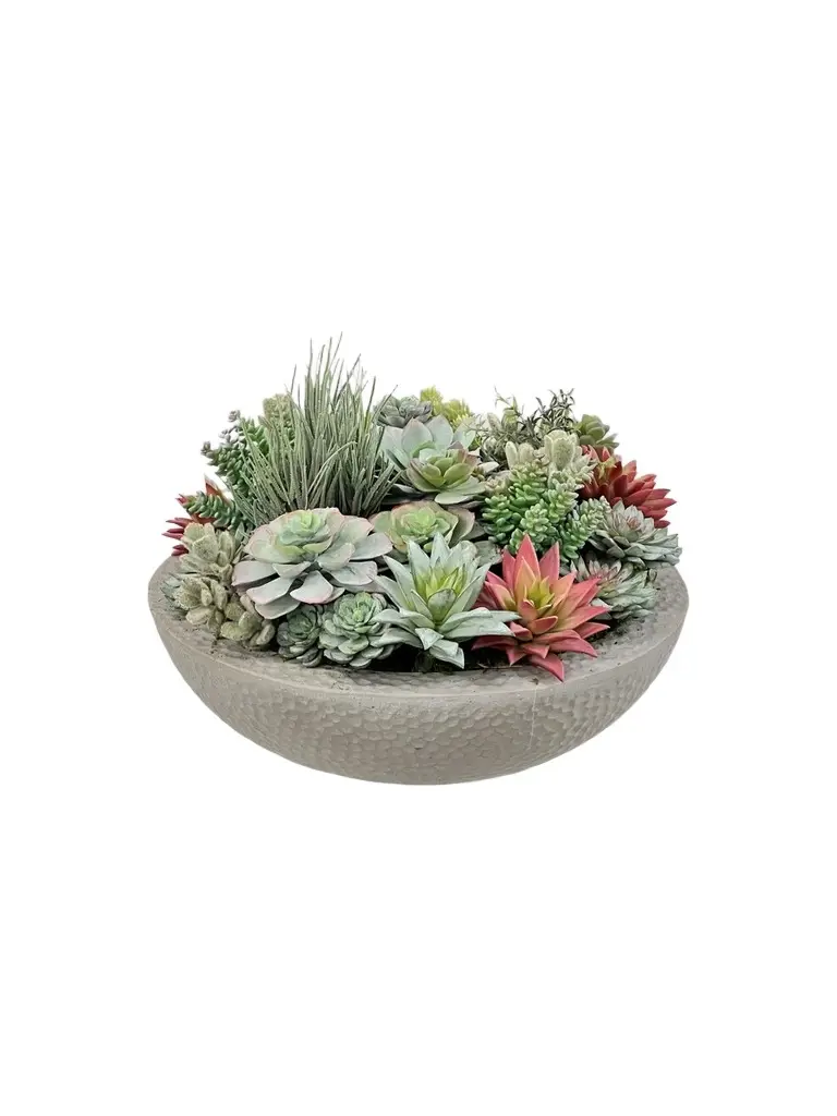 Newness Artificial Mix Succulent Arrangement Newness Artificial Mix Succulent Arrangement