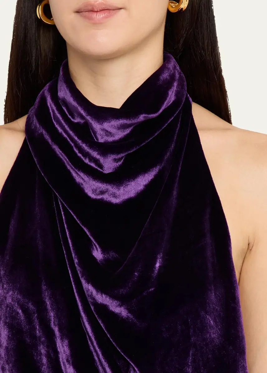 Atelier Prabal Gurung Draped Velvet Halter Dress | Thumbnail 5 Atelier Prabal Gurung Draped Velvet Halter Dress | Thumbnail 5