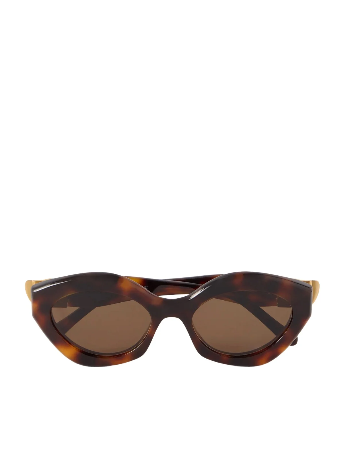 Coil Cat-eye Acetate Sunglasses Coil Cat-eye Acetate Sunglasses
