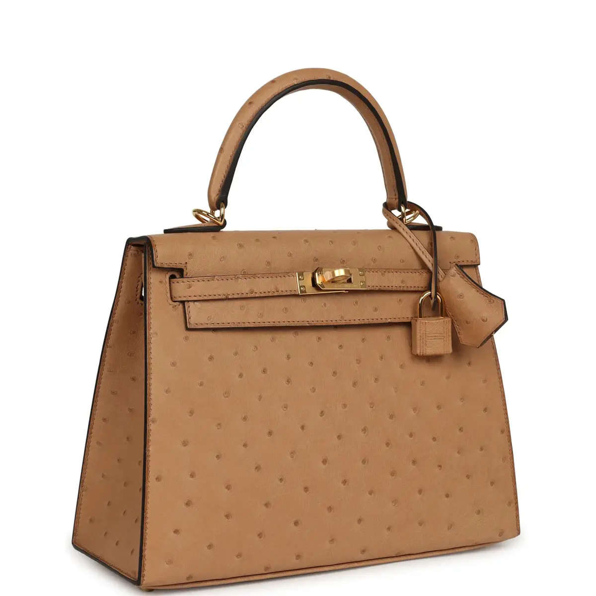 HERMÈS Hermes Kelly Sellier 25 Chai Ostrich Gold Hardware | Thumbnail 2