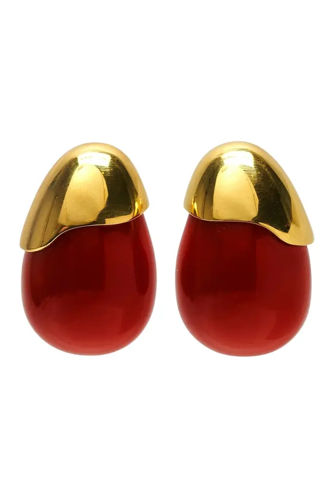 Toro Enamel Teardrop Earrings