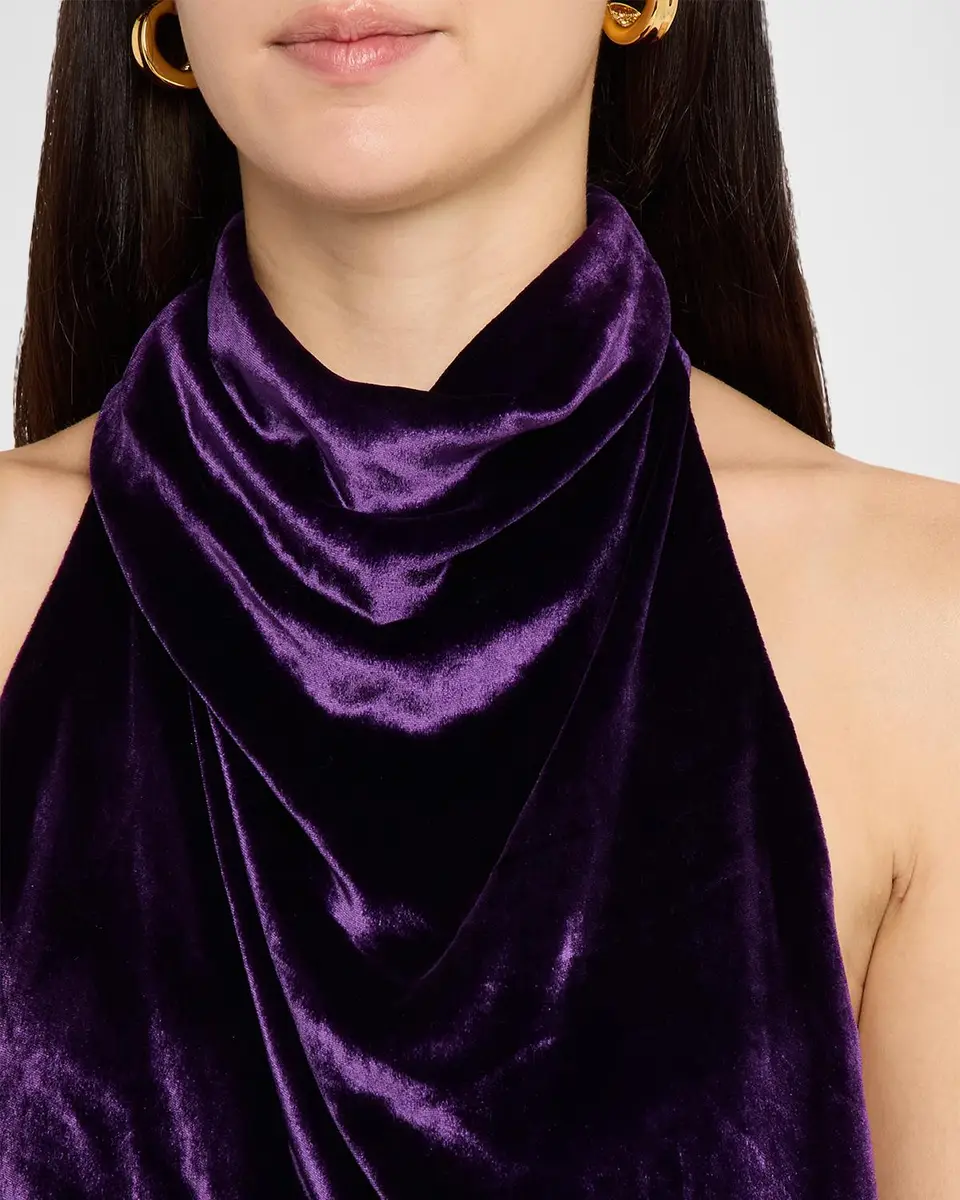 Atelier Prabal Gurung Draped Velvet Halter Dress | Thumbnail 5 Atelier Prabal Gurung Draped Velvet Halter Dress | Thumbnail 5