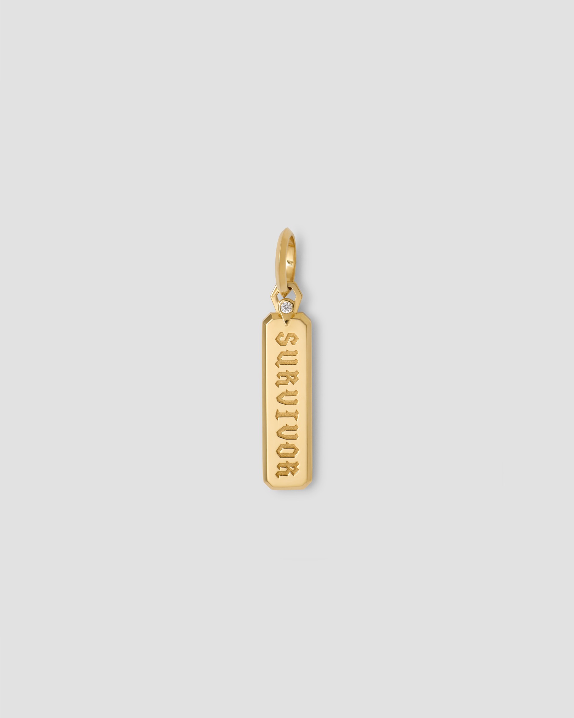 Jennifer Fisher Jennifer Fisher Large Survivor Dog Tag in