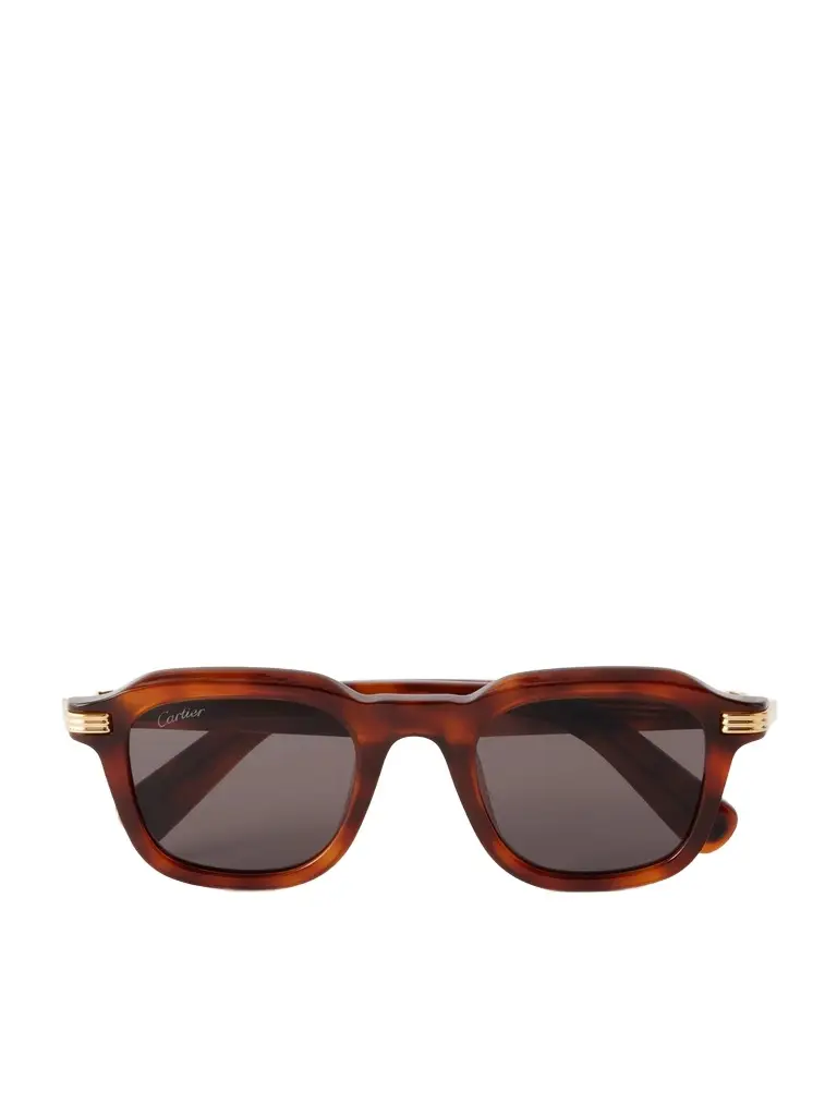 Cartier Eyewear Première de Cartier D-Frame Recycled-Acetate Sunglasses - Men