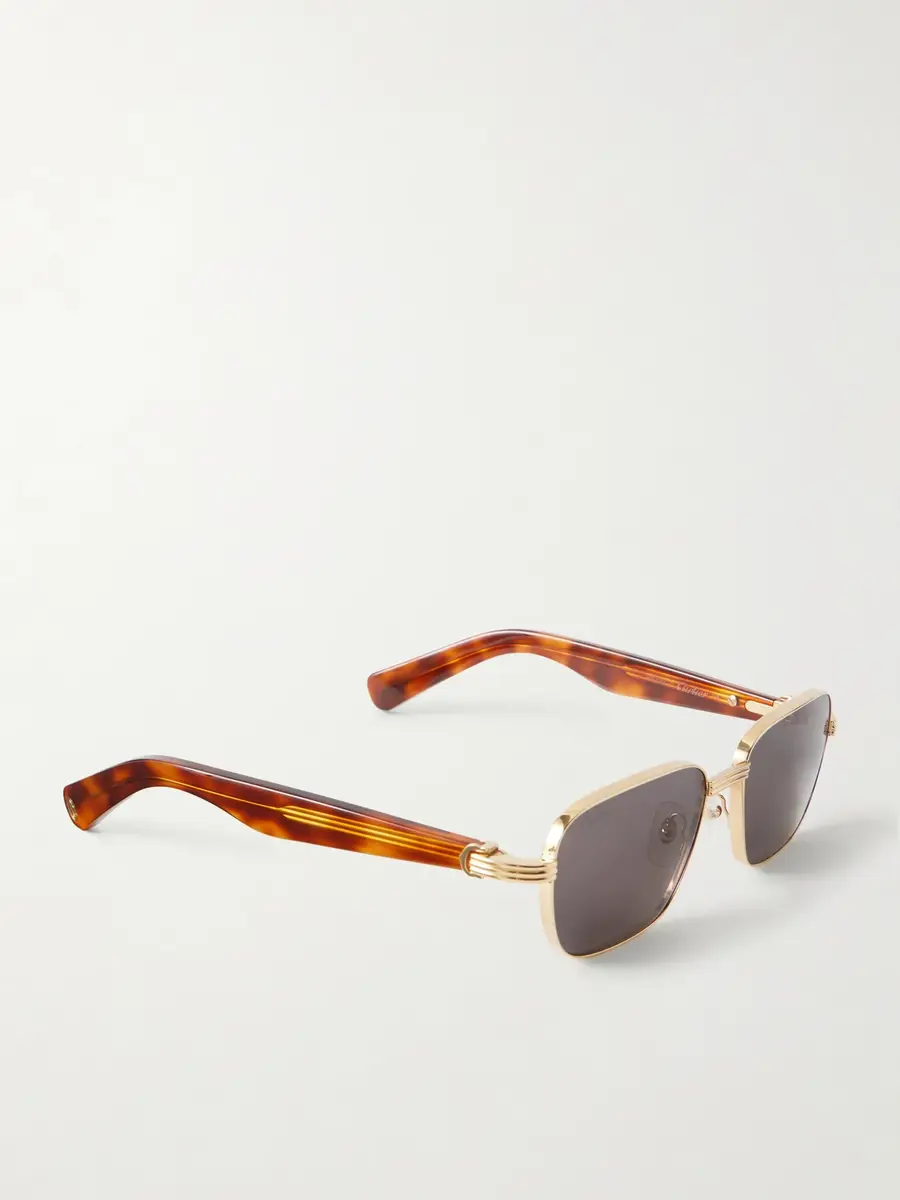 Cartier Eyewear Première De Cartier D-Frame Recycled-Acetate and Gold-Tone Sunglasses - Men | Thumbnail 4 Cartier Eyewear Première De Cartier D-Frame Recycled-Acetate and Gold-Tone Sunglasses - Men | Thumbnail 4