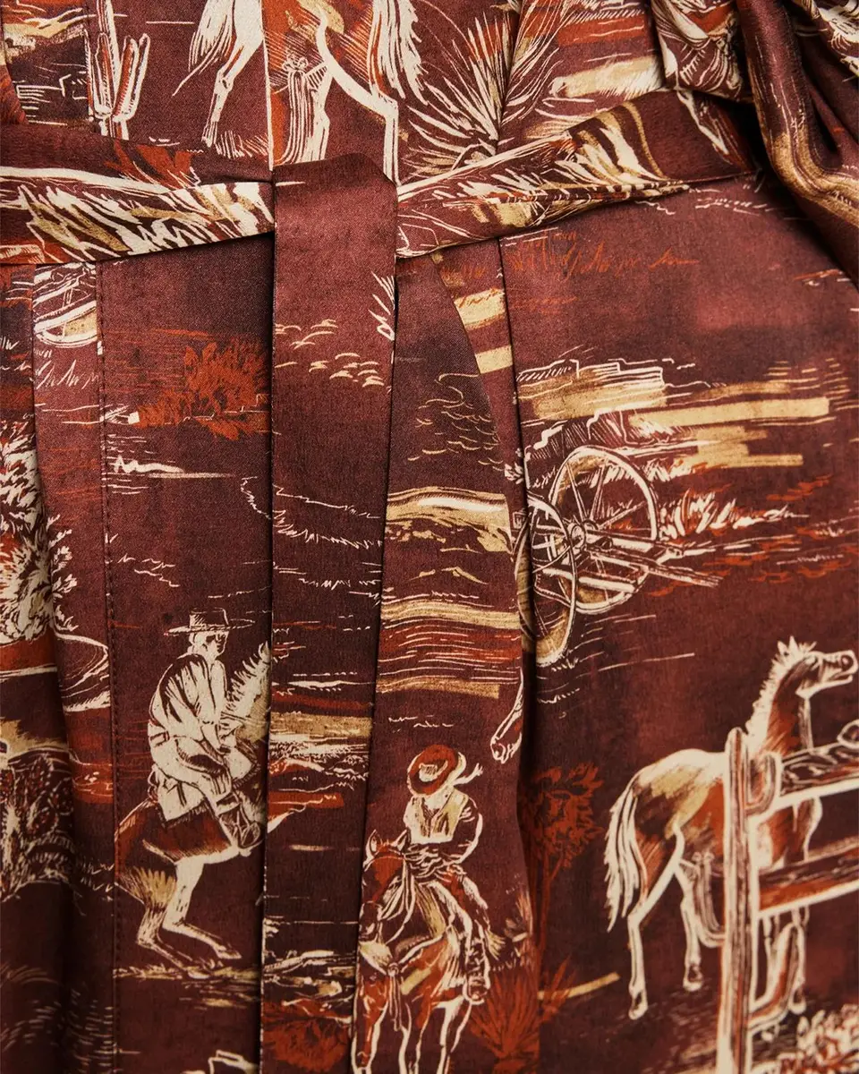 ALÉMAIS Ezra Western Toile Silk Maxi Shirtdress | Thumbnail 2