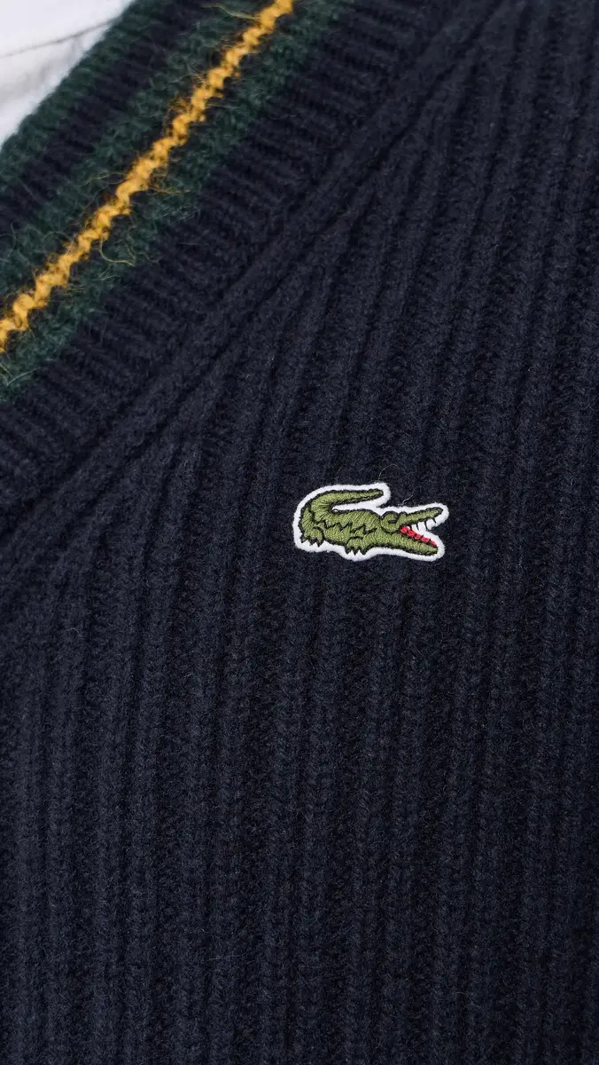 Lacoste V Neck Wool Sweater | Thumbnail 6